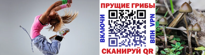 где продают наркотики  Олёкминск  Галлюциногенные грибы ЛСД 