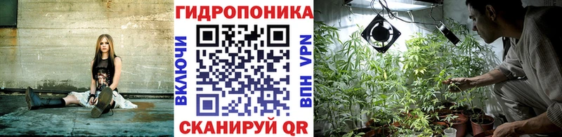 Бошки марихуана Amnesia  кракен онион  shop телеграм  магазин продажи наркотиков  Олёкминск 